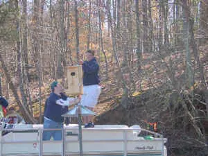 Installing Woodduck nesting boxes