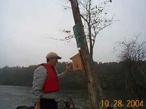 Maintaining An Island Nesting Box