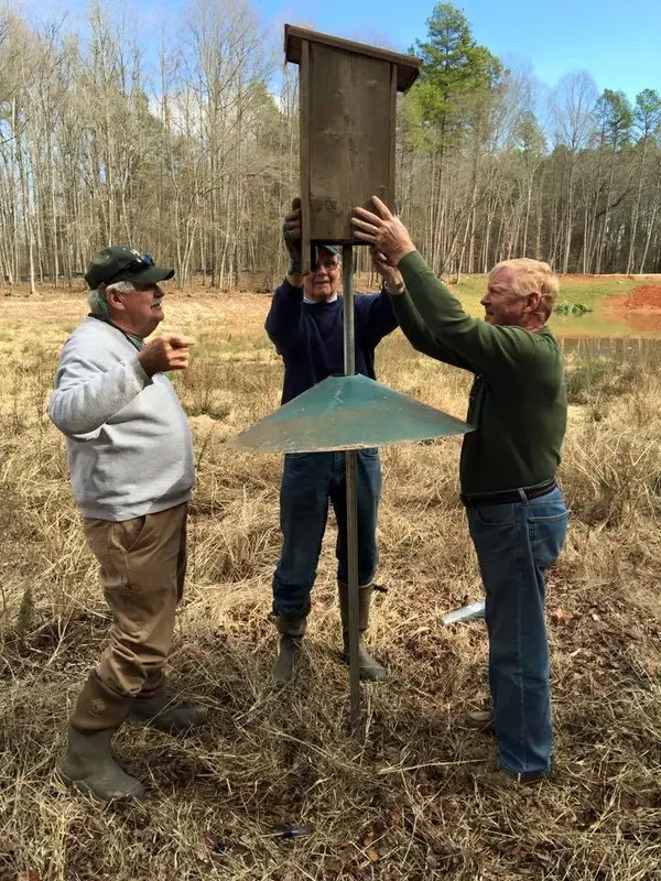 Installing Woodduck nesting boxes